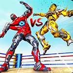 Robot Ring Fighting Wrestling