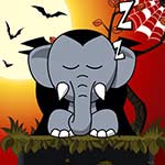 Snoring: Wake up Elephant - Transylvania