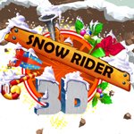 Snow Rider 3 D 