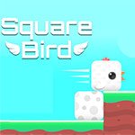 Square Bird